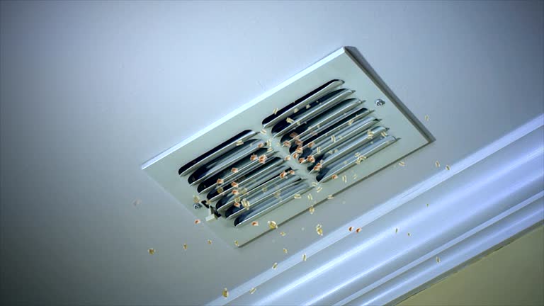 Best Home Air Vent Cleaning  in Oakland, NJ